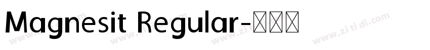 Magnesit Regular字体转换